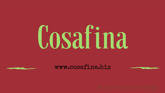 COSAFINA